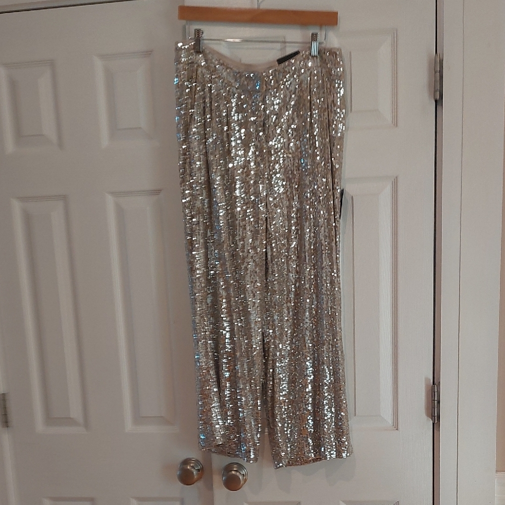 Express Silver Sequin Women's Cropped Pants